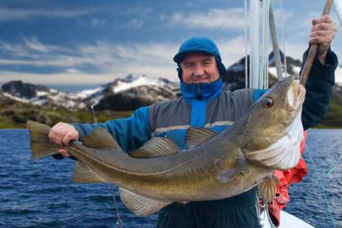 Lofotfiske, fornøyd fisker som har fanget stor torsk