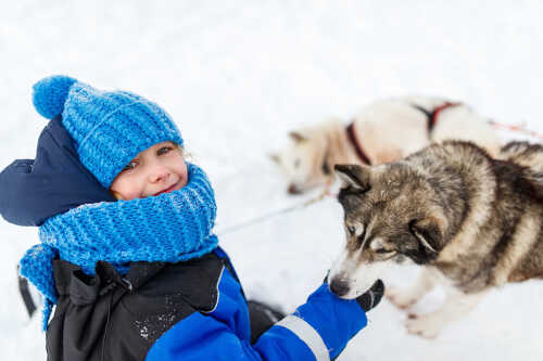 Jente i vinterklær som møter hund på hundesledetur