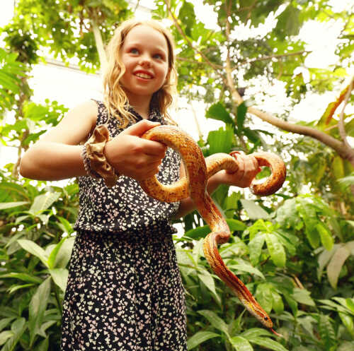 Bilde av blid jente som holder slange.