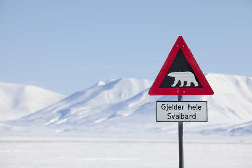 Bilde av skilt med Isbjørn i vinterlandskap på Svalbard.