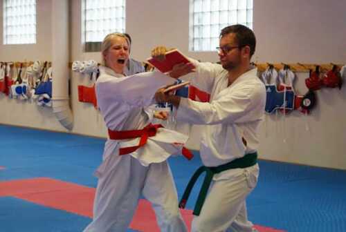 Janne Auby knekker plate Taekwondo