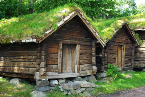 To stabbur med grønt gress i Ålesund